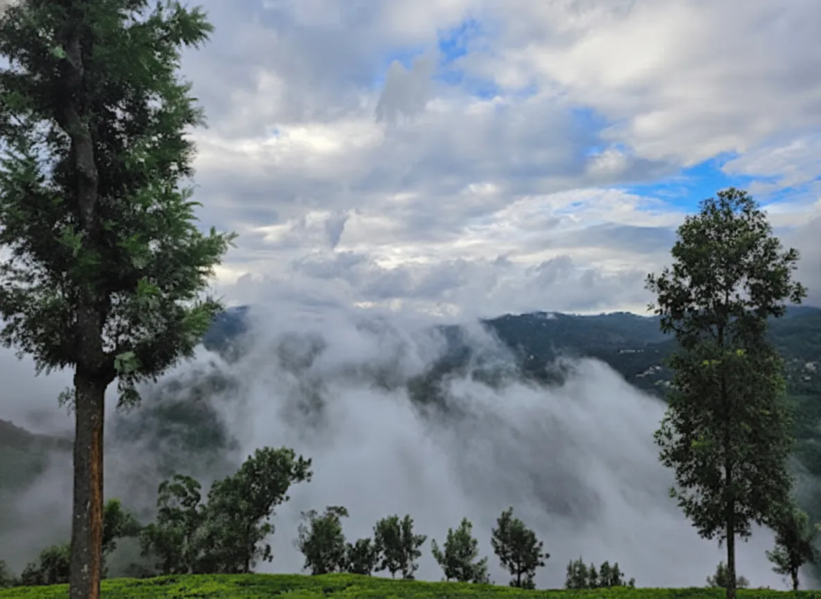 dolphins nose coonoor viewpoint