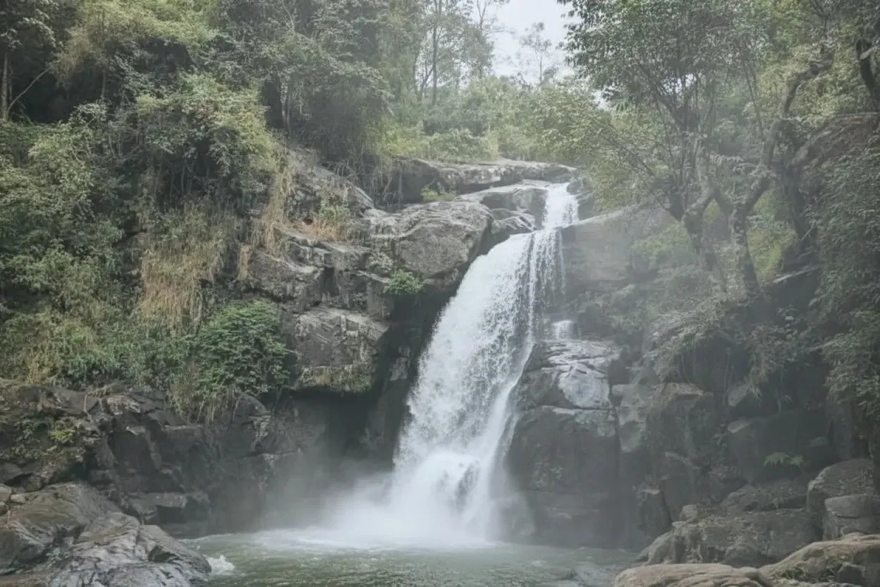 meenmutty waterfalls wayanad sightseeing