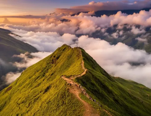 Explore  Chikmagalur Mullayanagiri Peak: Best Time to Visit, Travel Guide & Hidden Tips
