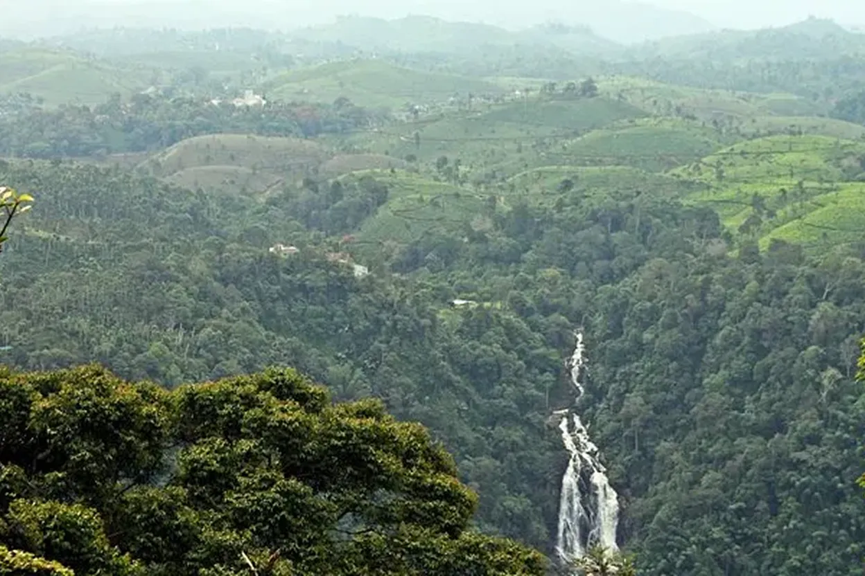neelimala view point wayanad