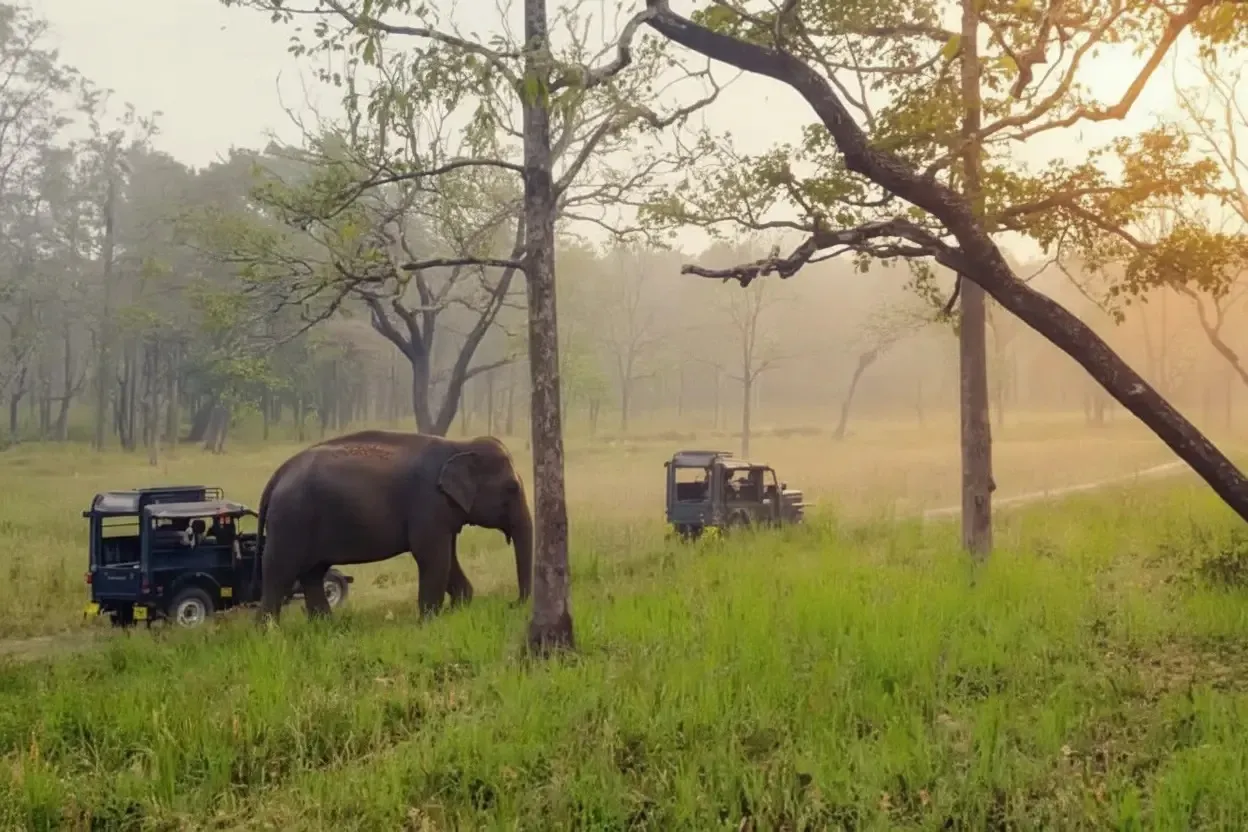 tholpetty wildlife sanctuary wayanad safari