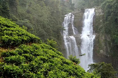 wayanad tour packages