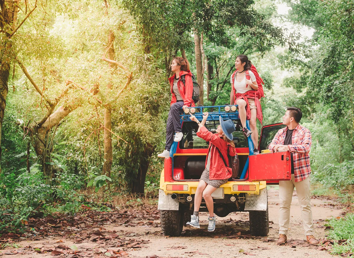 Bandipur Jungle Safari