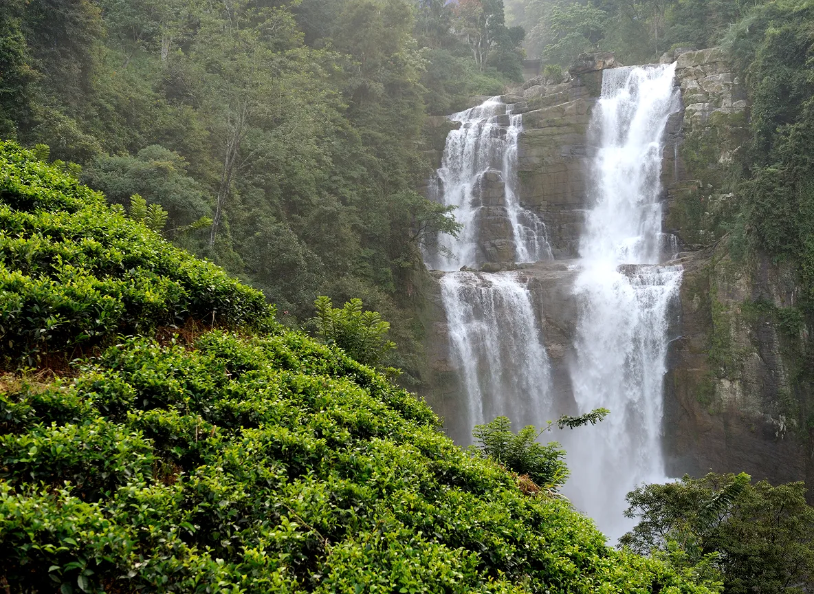 bandipur national forest scenic route