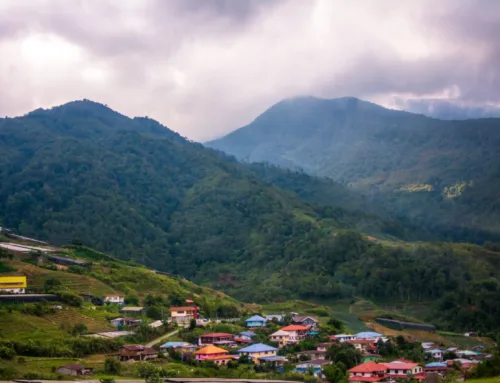 Best Time to Visit Coorg and Ooty