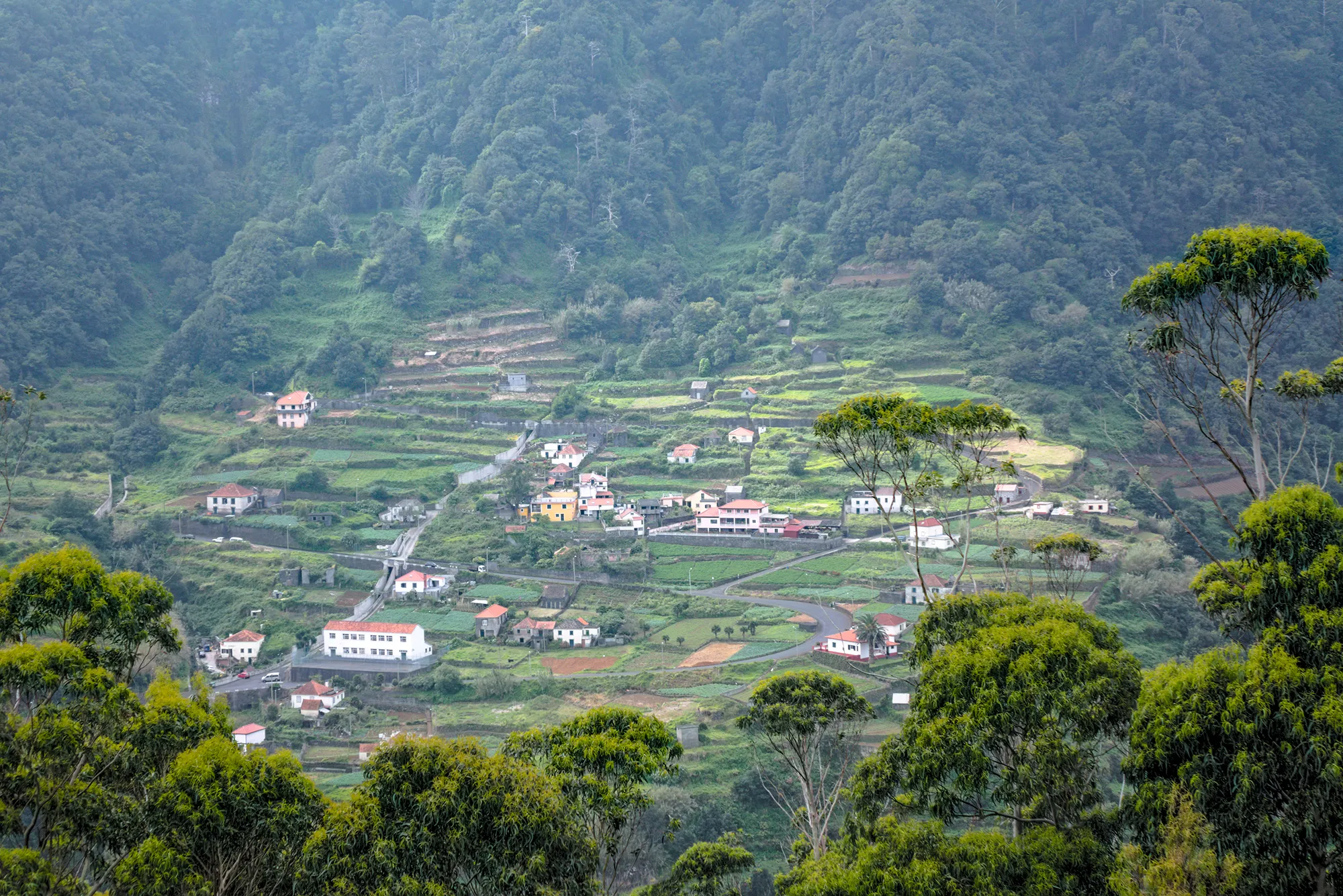 mysore coorg ooty sightseeing tour