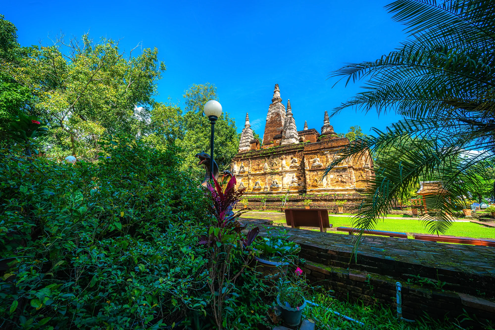 mysore coorg sightseeing tour